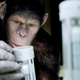 Illustration for article titled Is Rise of the Planet of the Apes anti-science?